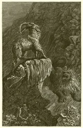 The Goat and the Lion