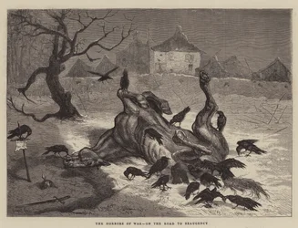 The Horrors of War, on the Road to Beaugency