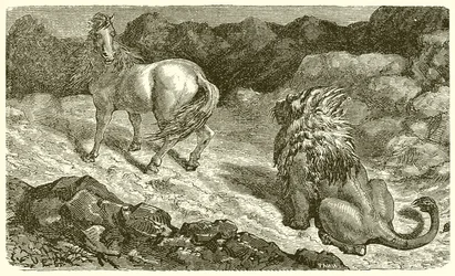 The Horse and the Lion
