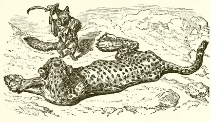 The Leopard and the Fox