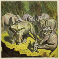 The Elephant that Lost its Tail
