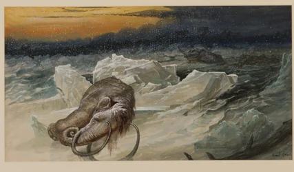 Woolly Mammoth