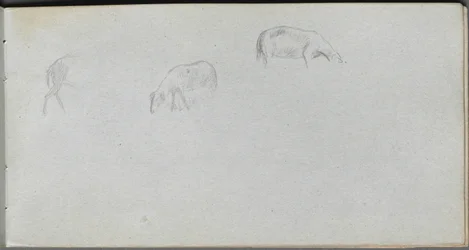 Sketchbook, Page 20: Animal Study