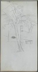 Tree Study (Sketchbook, page 36)