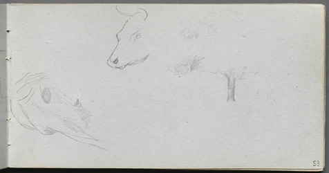 Sketchbook, page 53: Animal Studies and Tree Study