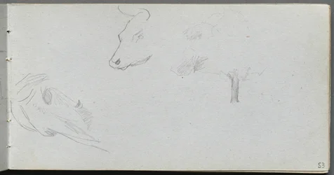 Sketchbook, Page 53: Animal Studies and Tree Study