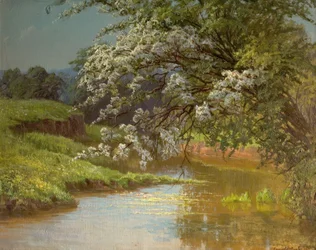 May Blossom