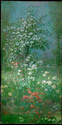 Rose Bush