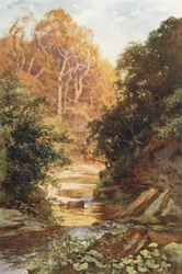 Hayburn Wyke