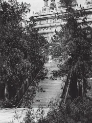 Peking, Si shan, Pi yun sze, Chihli, Western Hills near Peking, Flight of Steps to the Marble Pagoda