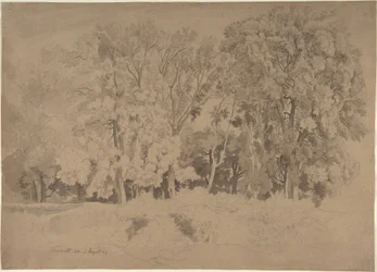 Edge of a Wood near Frascati