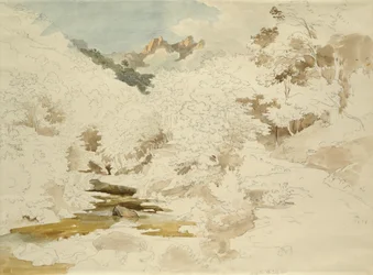 Woodland near Massa