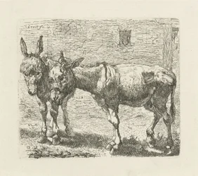 Two Donkeys