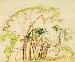 Group of Trees on Fehmarn