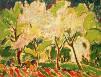 Spring Landscape