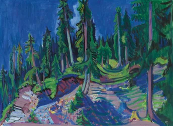 Mountain Forest Study