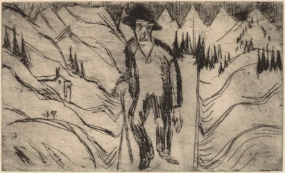 The Wanderer