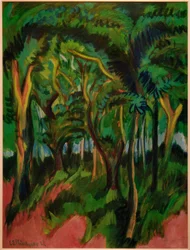 Forest Interior with Pink Foreground