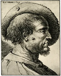 Male Head Study