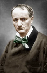 Charles Baudelaire, c.1866