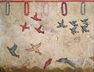A bird