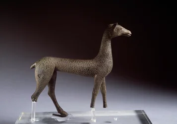 A Fawn