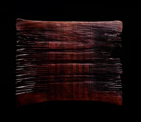 Etruscan civilization: wood comb - 5th century BC - From Spina, Valle Pega, Italy