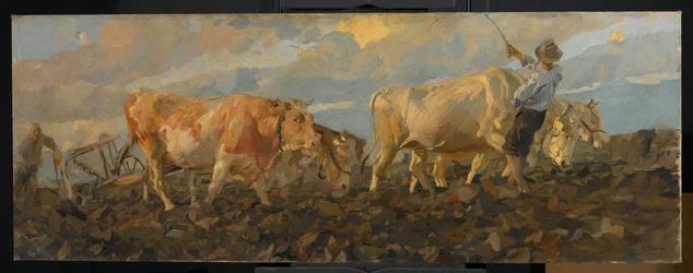 Oxen Ploughing, 1911