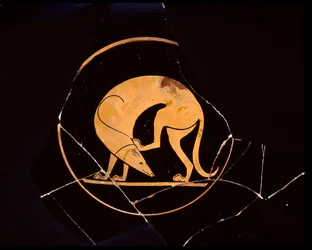Attic Red-Figure Cup of Dog Scratching His Ear with a Hindleg, Inside Tondo