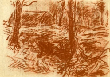 At the Edge of the Forest