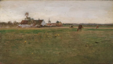 Evening Landscape