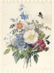 Blue Asters, Rosa Spinosissima Hybrid, Harebell, Violas, Cartnation and a Wild Rose, 1820