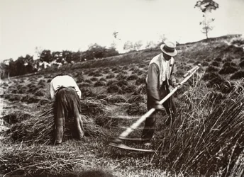Reapers, Somme
