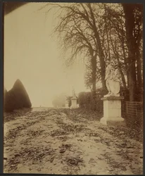 Versailles, the Park (Avenue in the Park at Versailles)