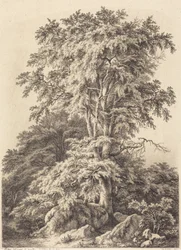 Beech Grove