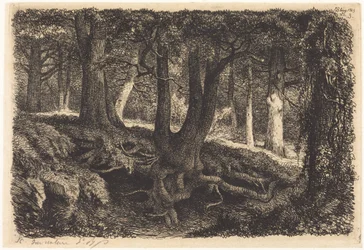 The Tree with Roots