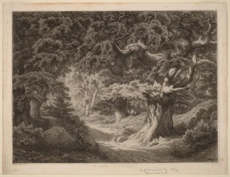 The Charlemagne, Forest of Fontainebleau