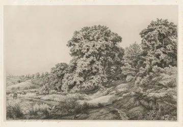 Oaks near a Pond
