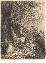 Burdock with Willow