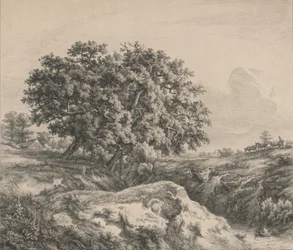 Oak Tree by a Ravine, 1845