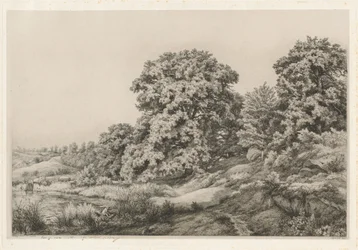Oaks Near a Pond