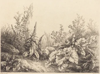 Study of a Burdock