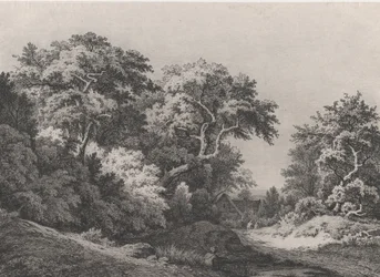 The Edge of the Woods, near Rambouillet