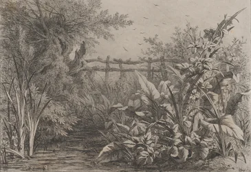 The Pond