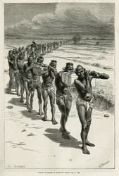 Column of Bearers Through the Rice Fields, Between Bassac and Hue