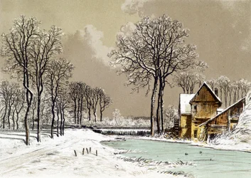 Winter Landscape