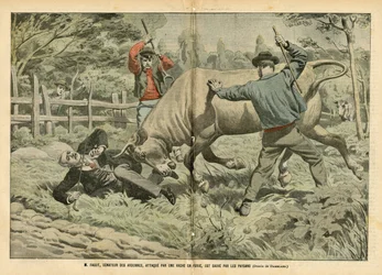 Illustration of Eugene Damblans in Le Pelerin