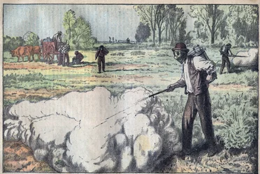 The Destruction of the Mulots (Apodemus) by Asphyxiating Gas in the Dawn - Engraving by Damblans - Le Pelerin of 1923