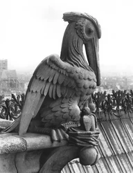 Pelican gargoyle from the balustrade of the Grande Galerie of the west facade, replica of a 12th century original