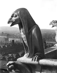 Gargoyle from the balustrade of the Grande Galerie, replica of a 12th century original